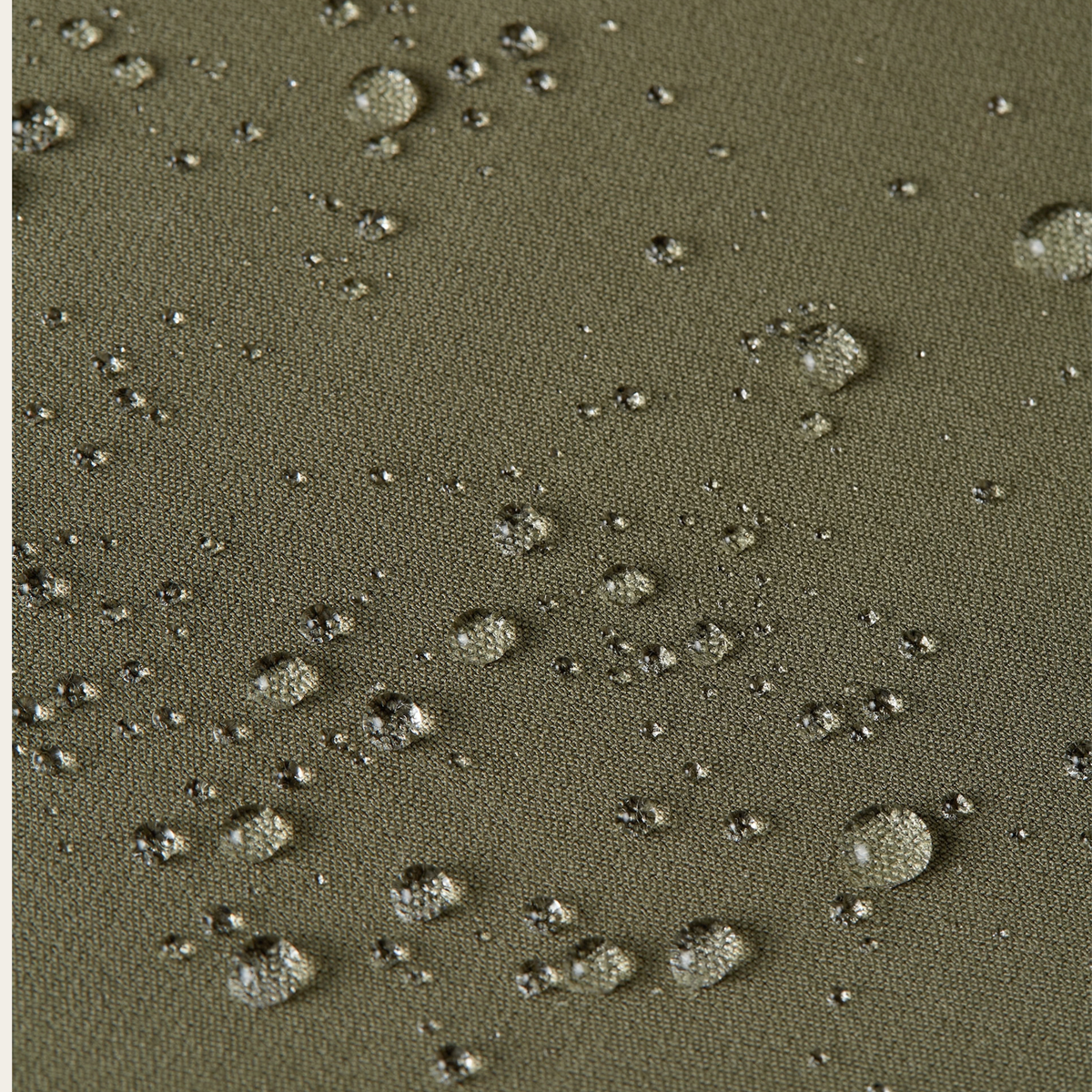 Classic Pants Olive